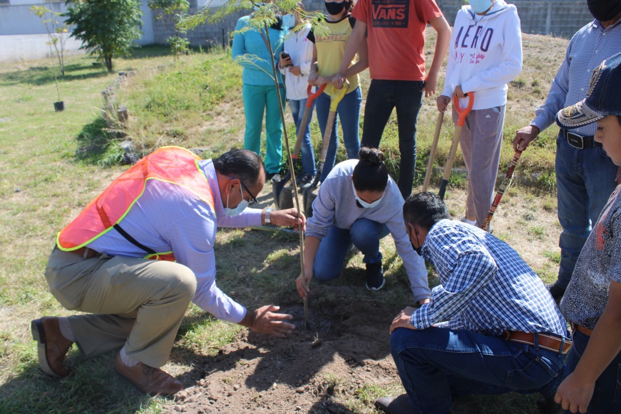 Vecinos y funcionarios de Pozos plantaron árboles en el parque de Gran Morada - San Luis Potosí