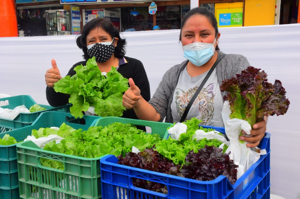 ¡Compra barato! Feria agroecológica Allinta Mikuy de la Municipalidad de Lima llega a Lurín