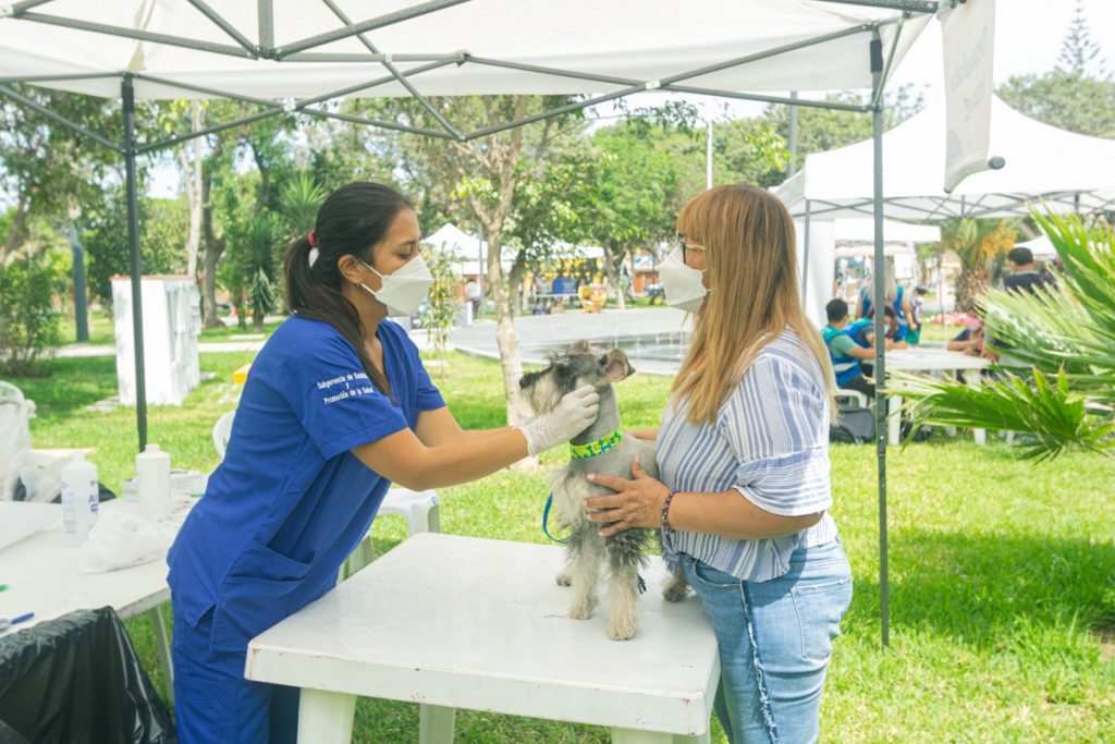 MML: cuarta edición de la Feria para Mascotas se realizará este domingo