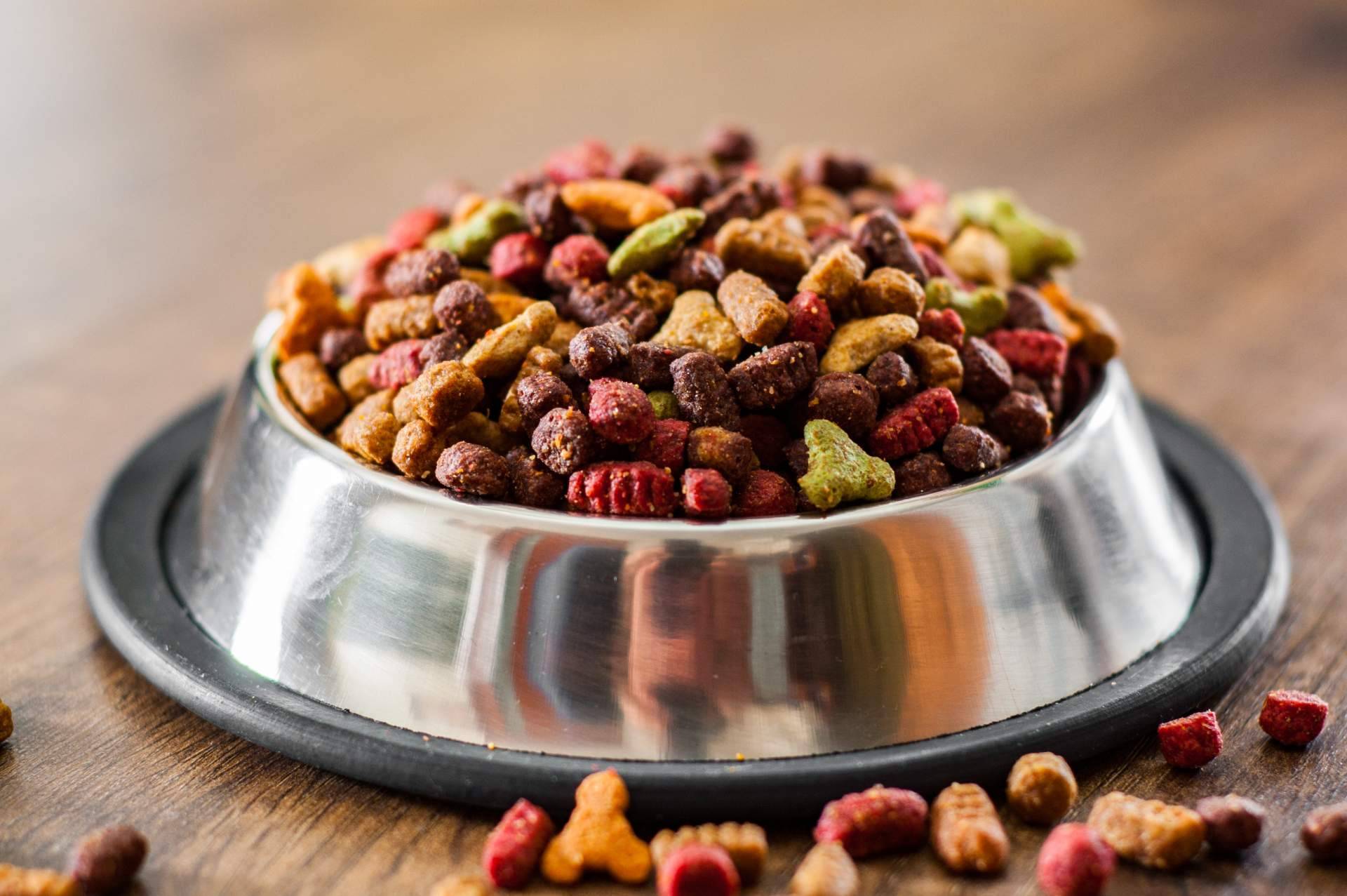 Encontrar el alimento ideal para una mascota, con la ayuda de Kaman Pet y su sistema de calidad nutricional Kaman Points