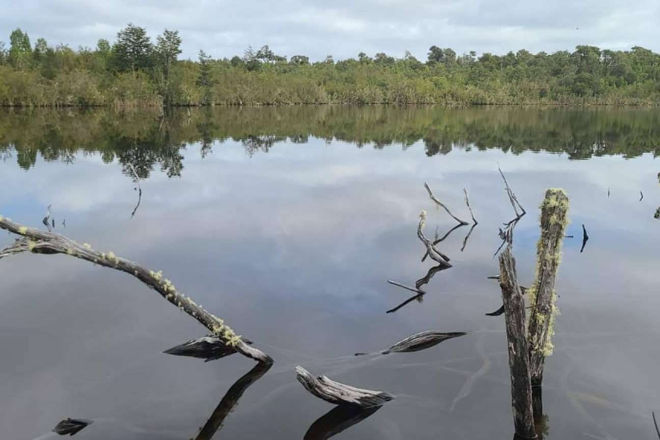 Laguna Quemchi es una empresa centrada en la comercialización de terrenos en el sur de Chile