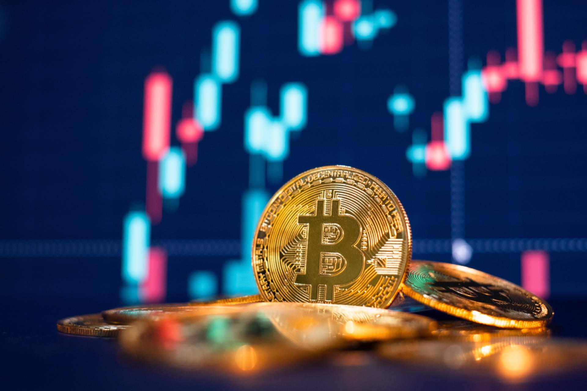 Casino Bee lleva a cabo el análisis y comparativa de casinos con criptomonedas