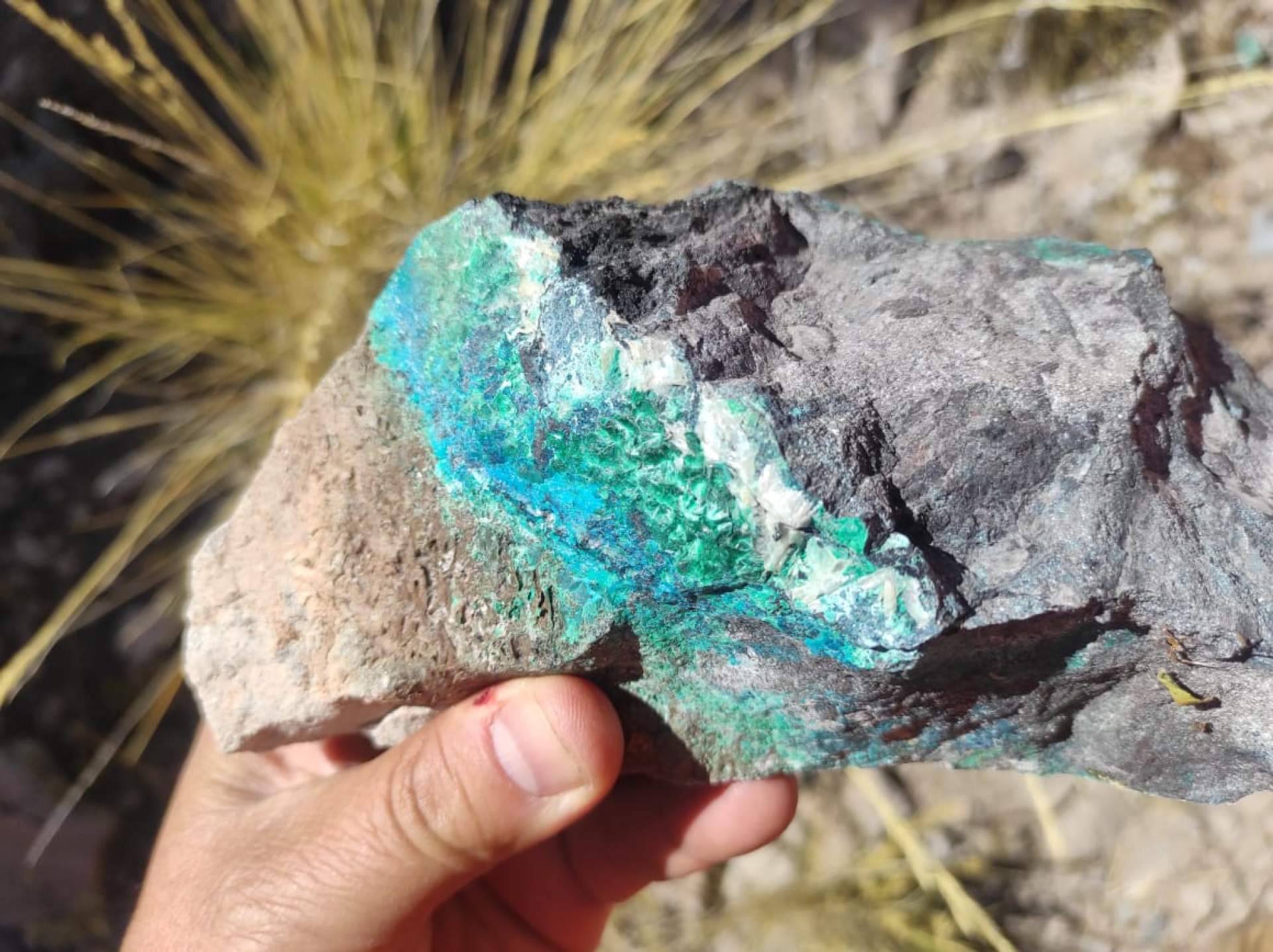 Reconocido médico chileno preside el directorio de inversión en pequeña minería en Latinoamérica