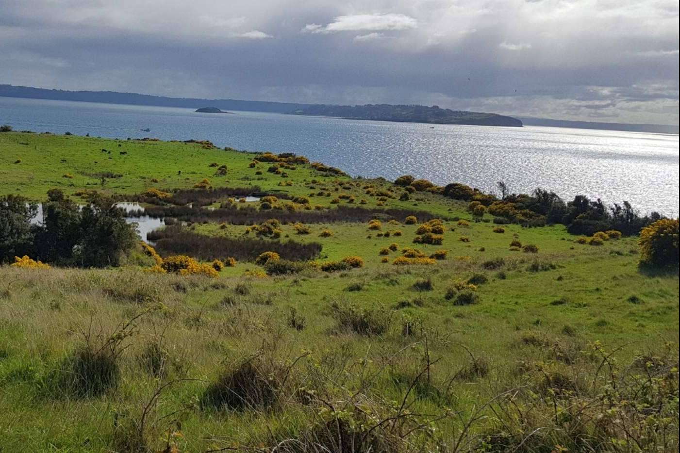 Latitudes Australes da a conocer Chiloé, una tierra llena de oportunidades