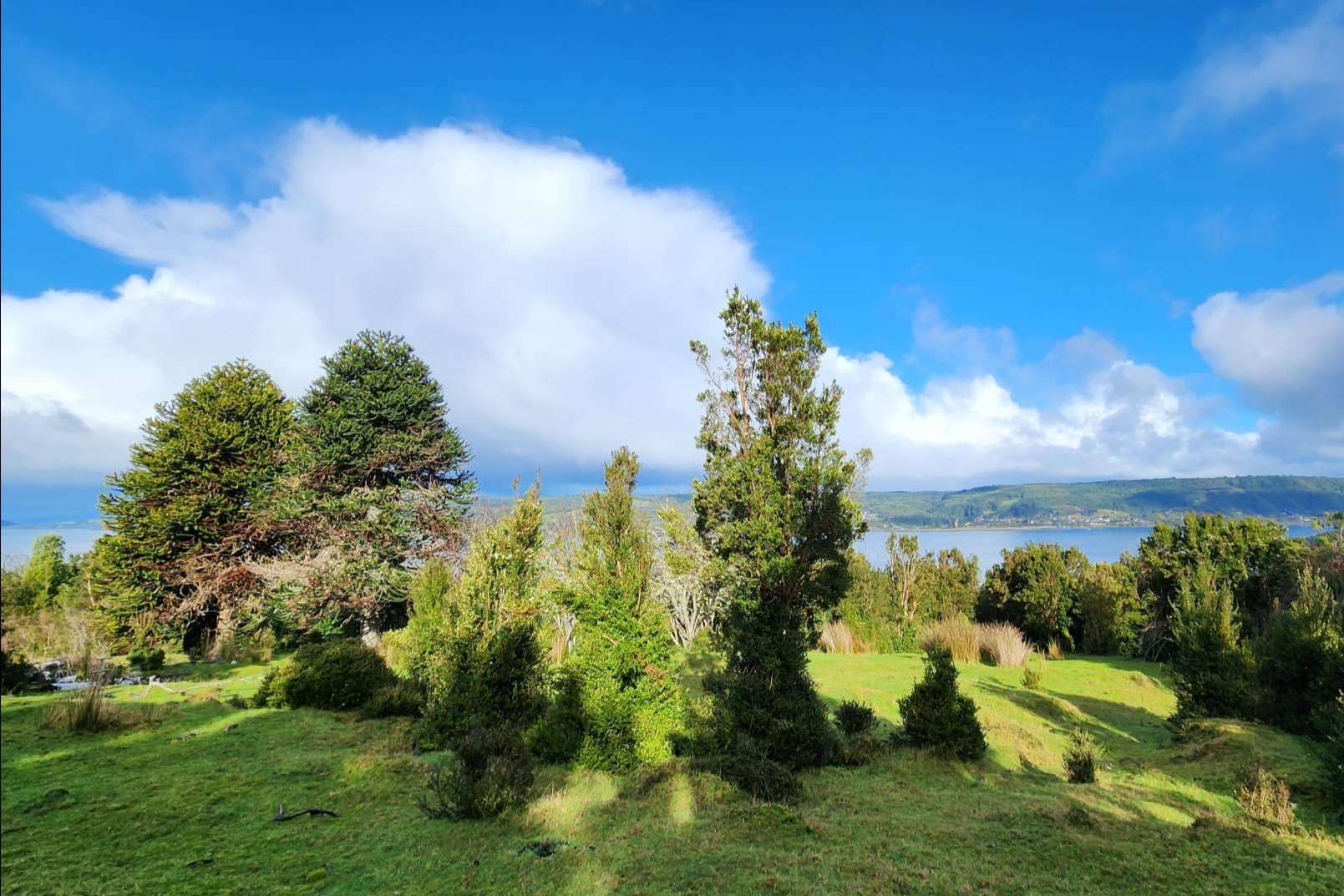 Latitudes Australes pone a disposición lugares perfectos en Chiloé para invertir en una parcela
