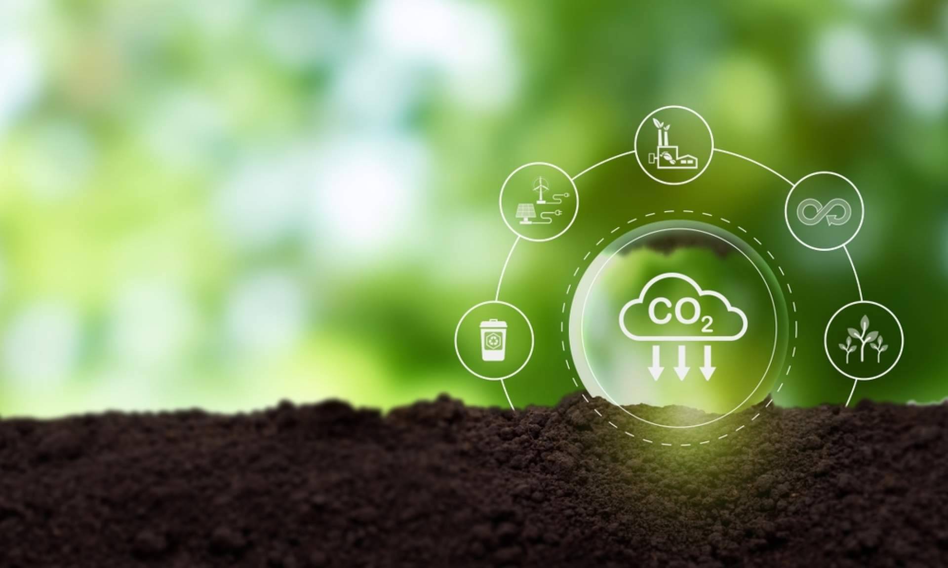 Grupo Promerica y su gran reto de llevar a las pymes hacia la neutralidad de carbono