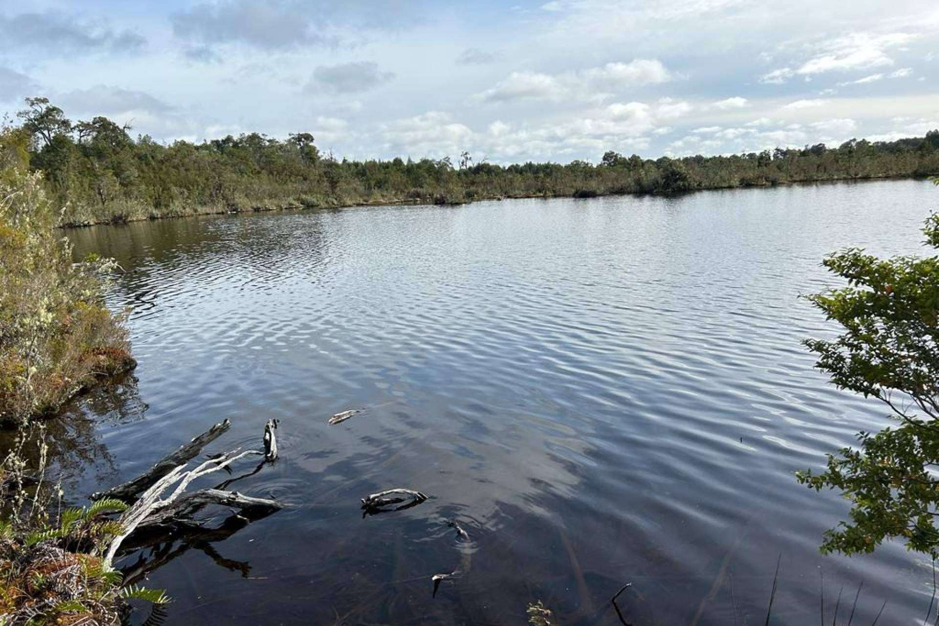 Latitudes Australes presenta Chiloé, un destino emergente que ofrece oportunidades únicas de inversión