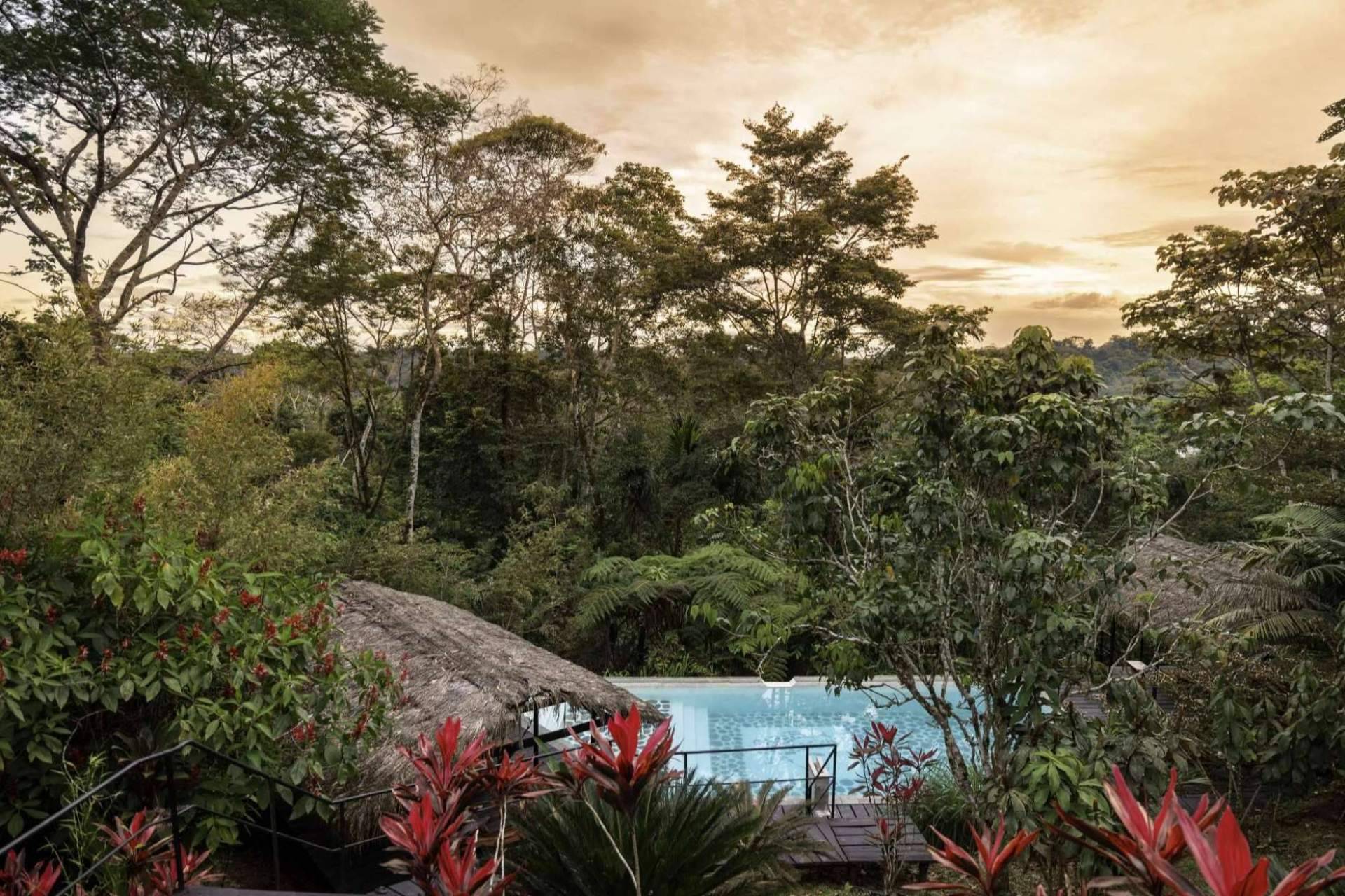 Las suites bungalows de Hamadryade Lodge para vivir la Amazonía ecuatoriana como nunca antes