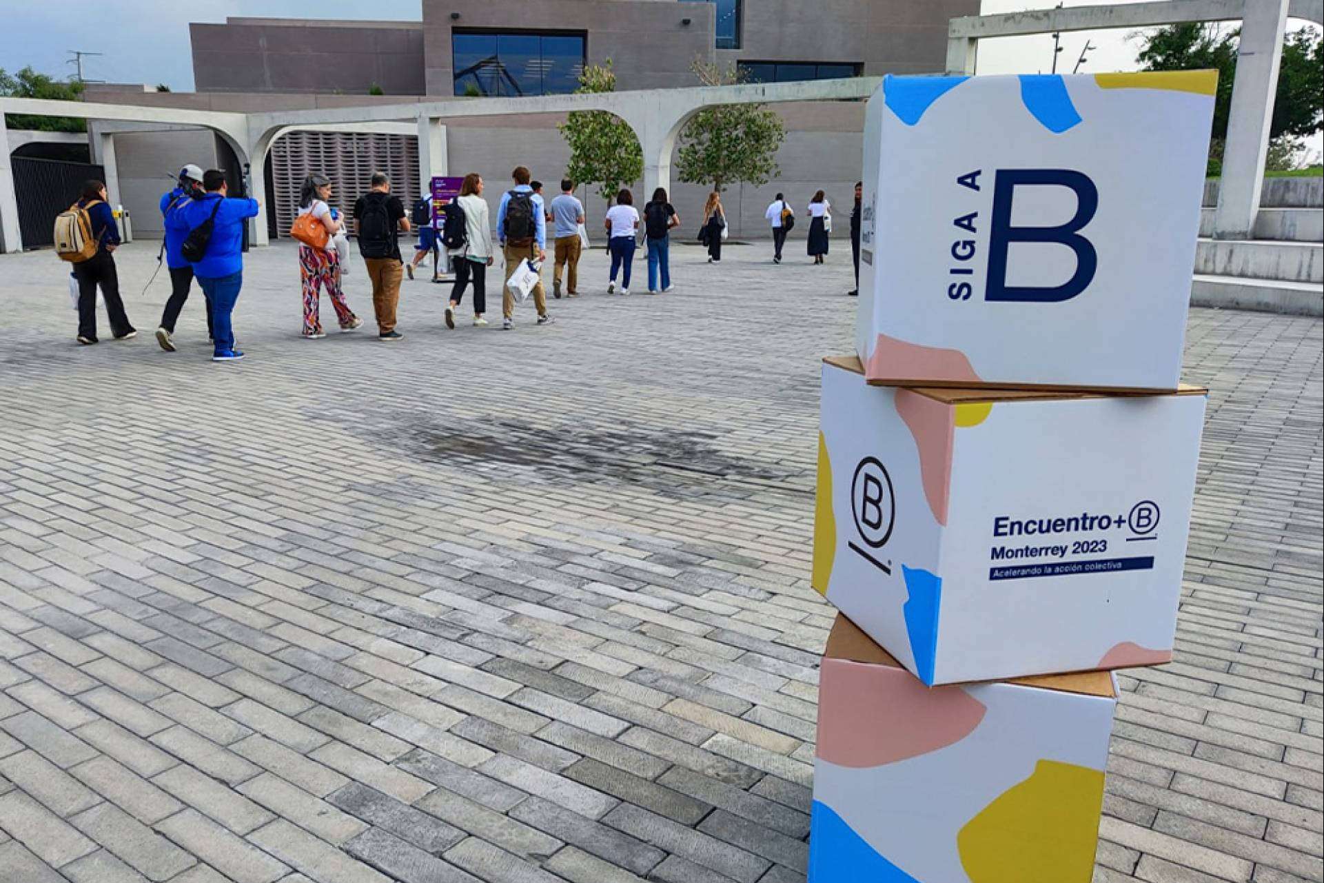 Terramarte se convierte en una de las primeras 5 empresas B en Colombia