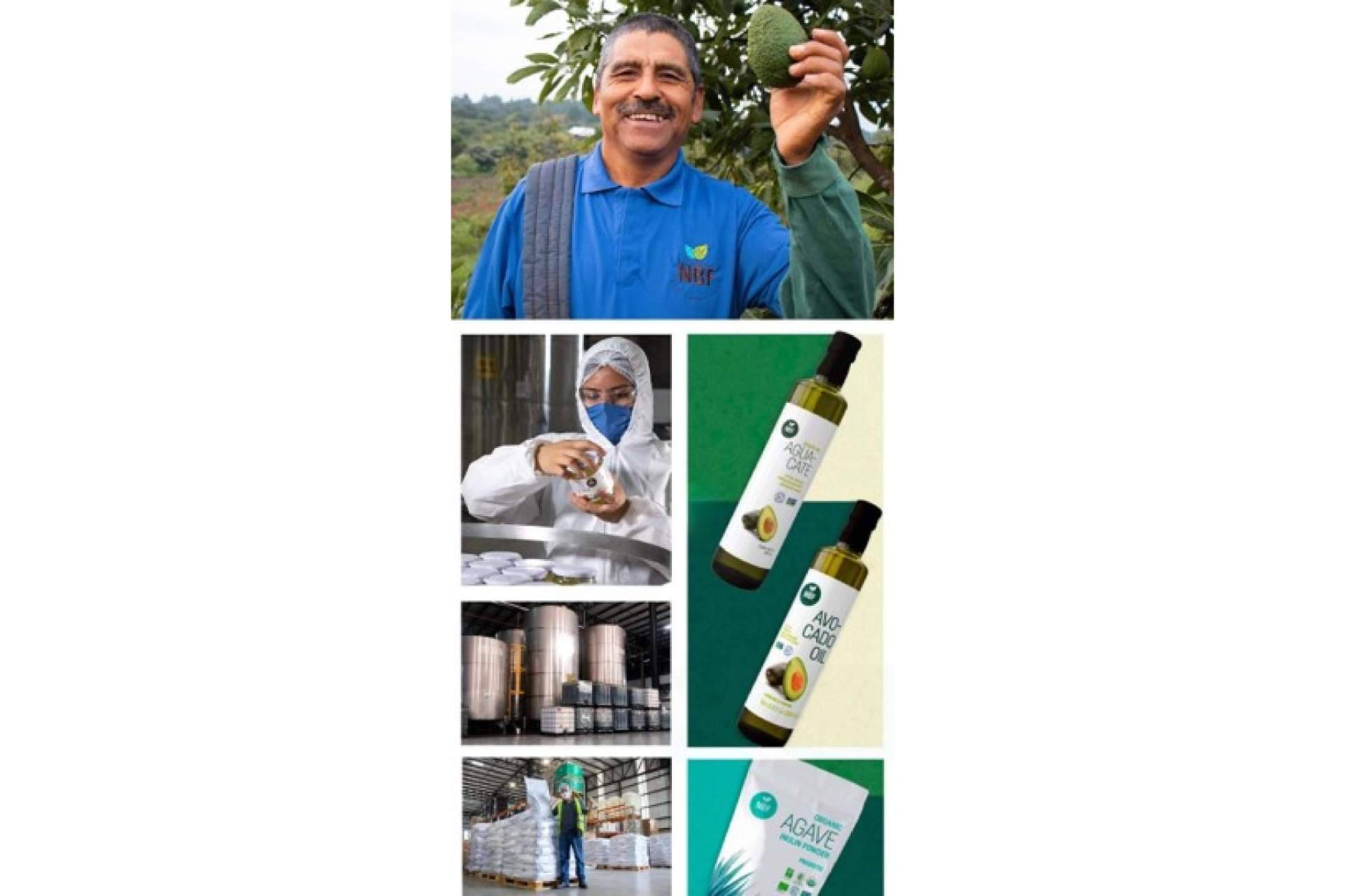 NBF Market, productos orgánicos y naturales en formato industrial