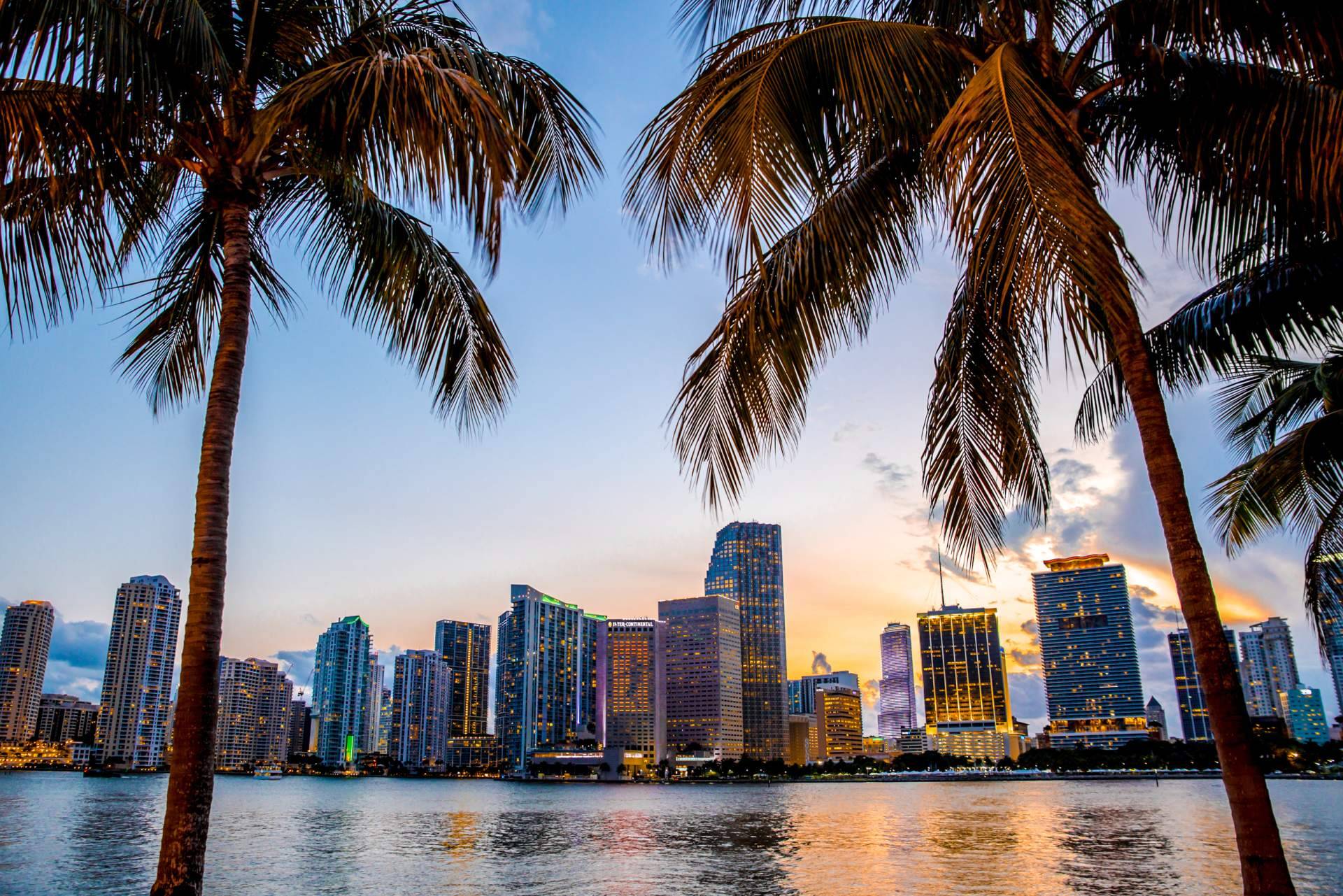 Amplia variedad de apartamentos en preconstrucción en Miami, con la inmobiliaria UTG Miami
