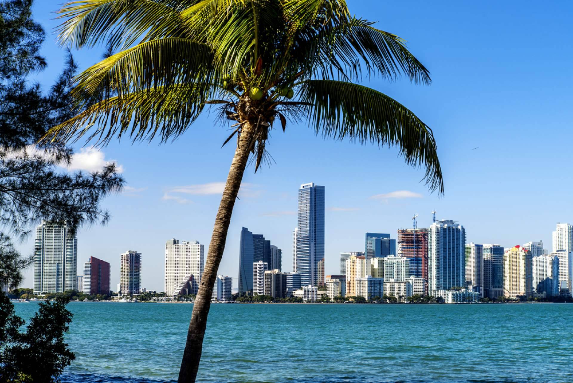 Miami se convierte en el centro de lujo para la élite mundial, redefiniendo el mercado inmobiliario de alto nivel